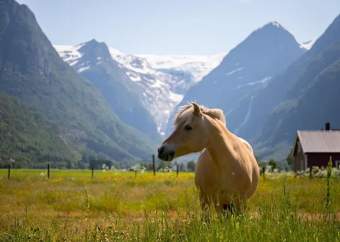 Olden Glamping - One With Nature Luxe tent *