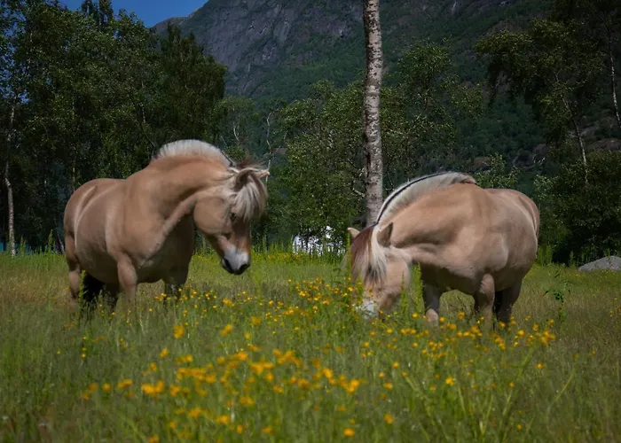 Olden Glamping - One With Nature Luxe tent *